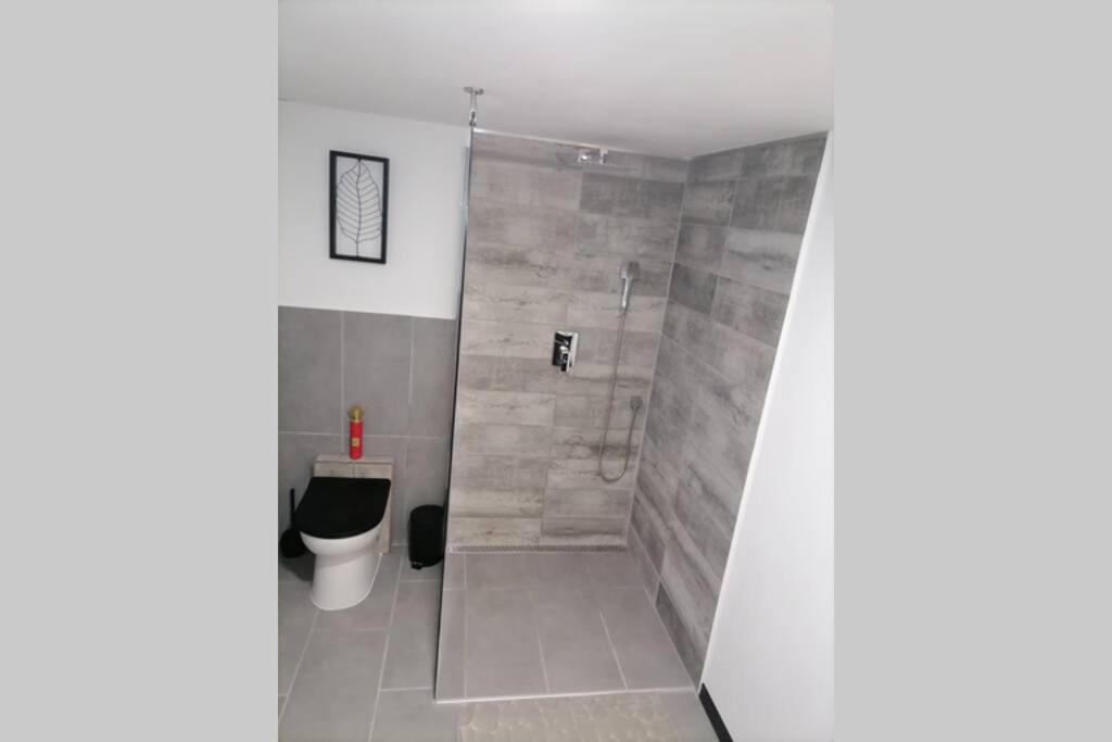 Maison 50 Nuances De Bresse Saint-Didier-en-Bresse エクステリア 写真